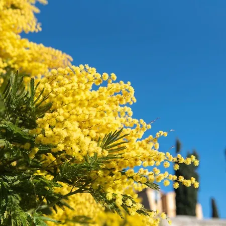 L'appart - Centre A Pied Apartment