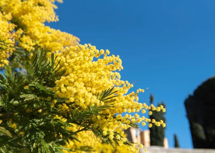 L'appart - Centre A Pied Lägenhet